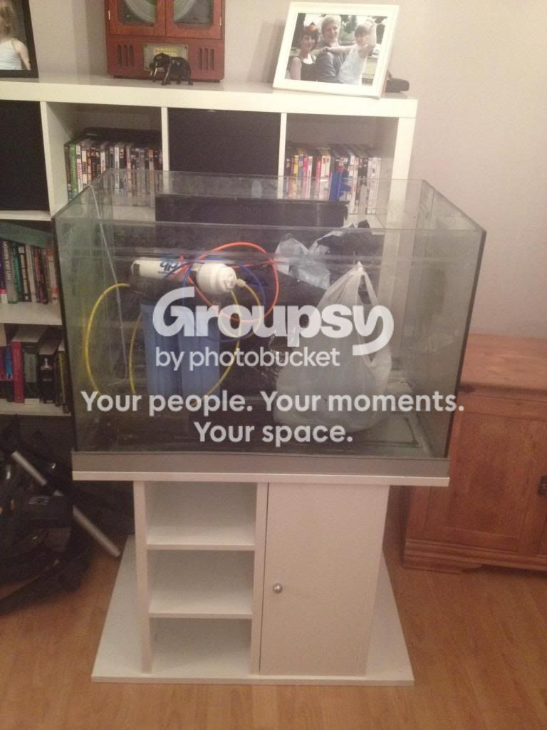 photo4.jpg