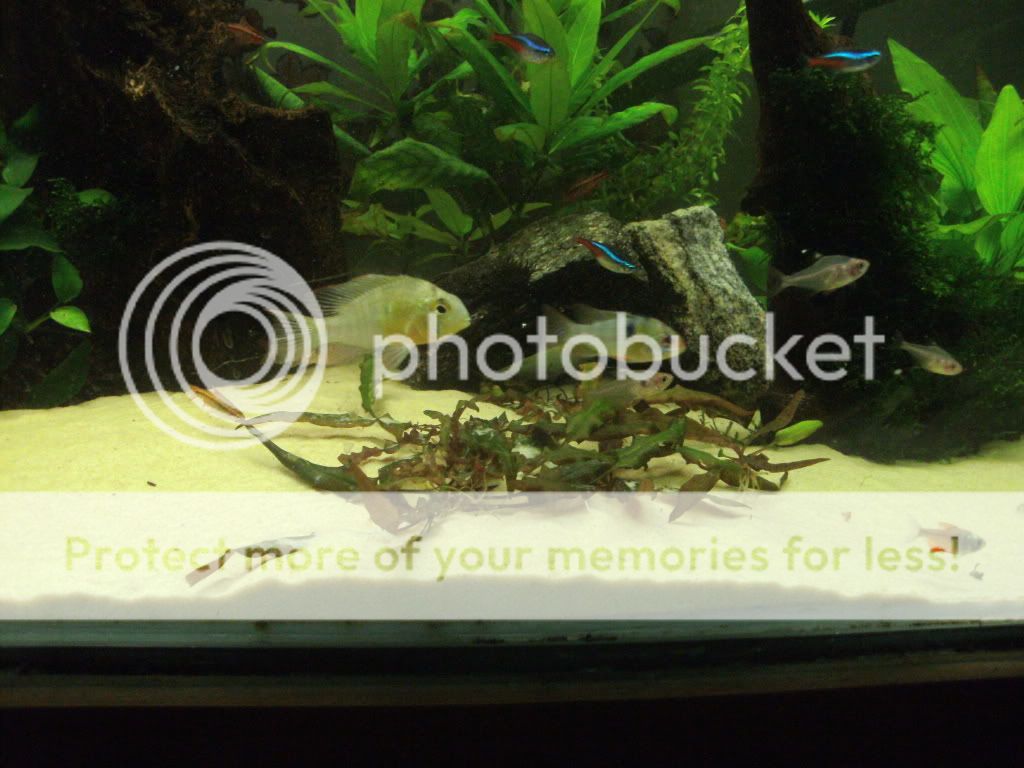 PICT0321.jpg