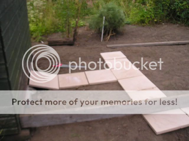 P1010306-1.jpg