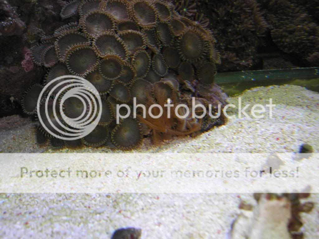 PC140016.jpg