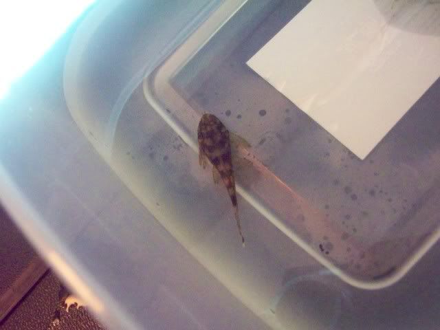000_0232.jpg