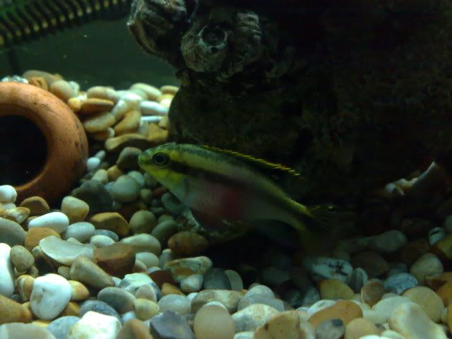 22012009134.jpg