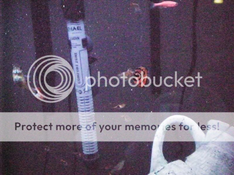 100_0030.jpg