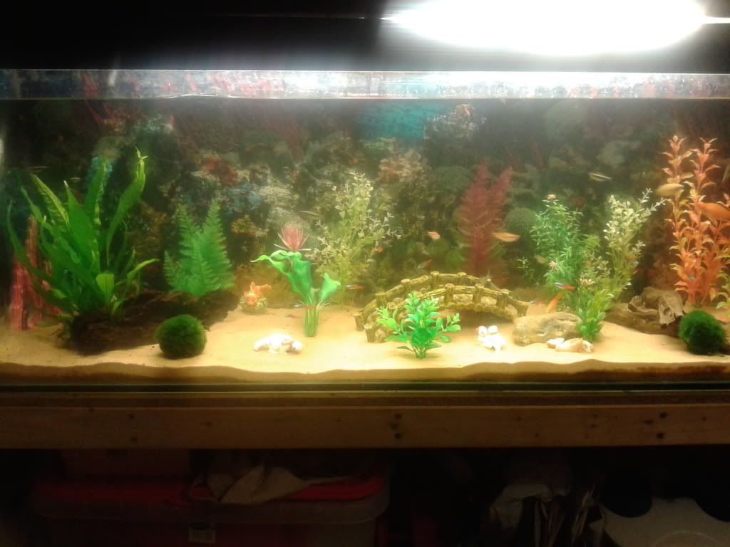 20121224_164936.jpg