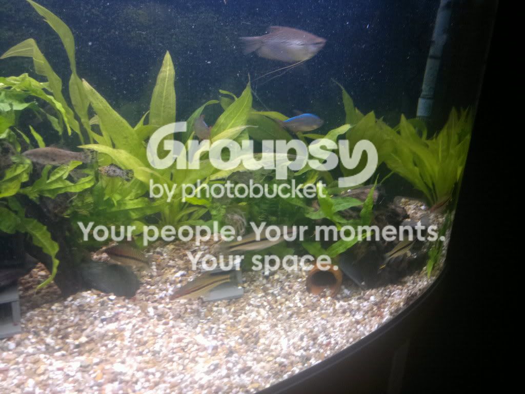20111124470.jpg
