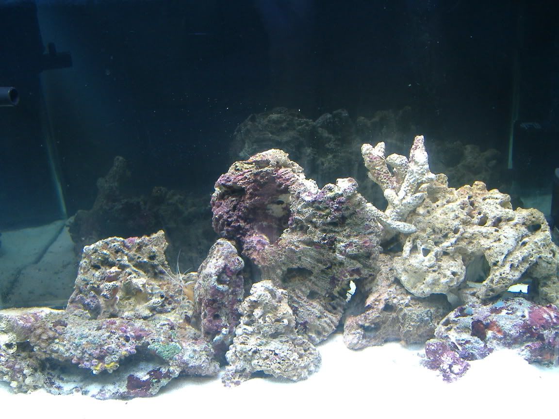 DSCF0408.jpg