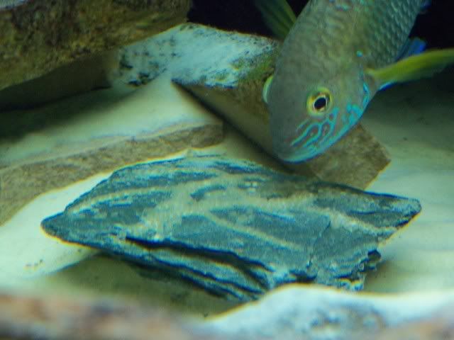 100_0460.jpg