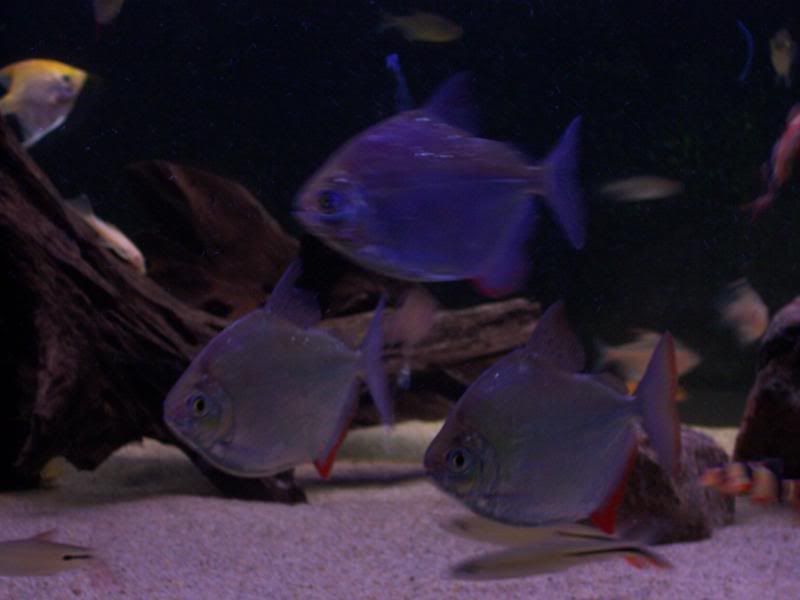 100_6061.jpg
