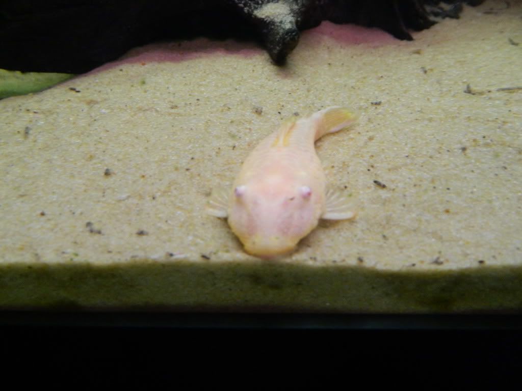 DSCN0494.jpg