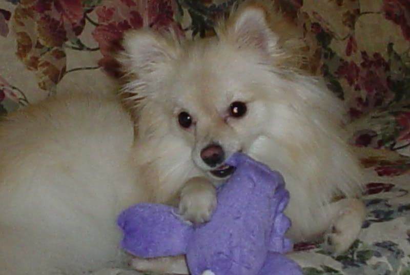 DSC00635.jpg