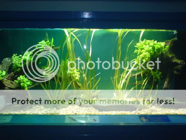 DSC01934.jpg