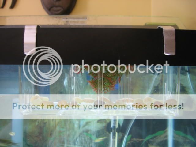 Picture102-1.jpg