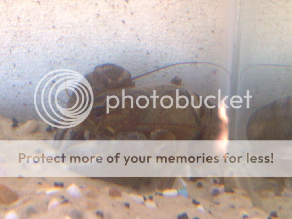 04072009975.jpg