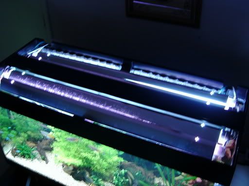 IMA0157.jpg