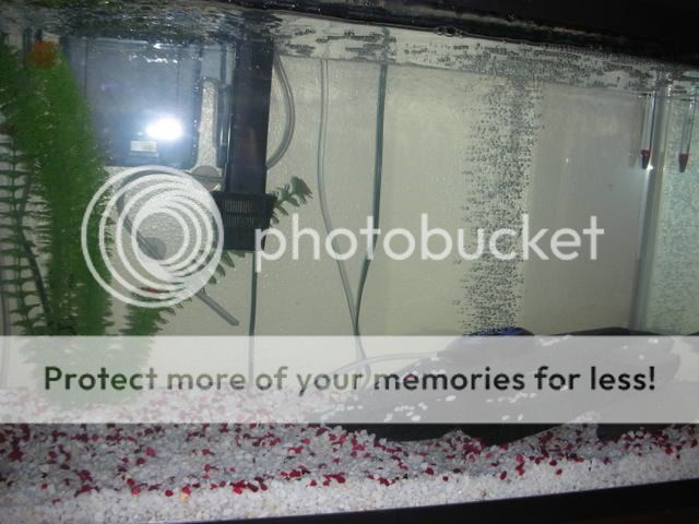 DSCN3478.jpg