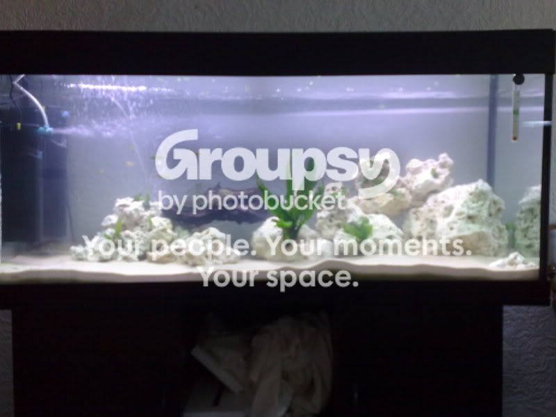 25072009141.jpg