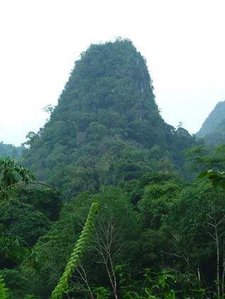 hilly-pujuk.jpg