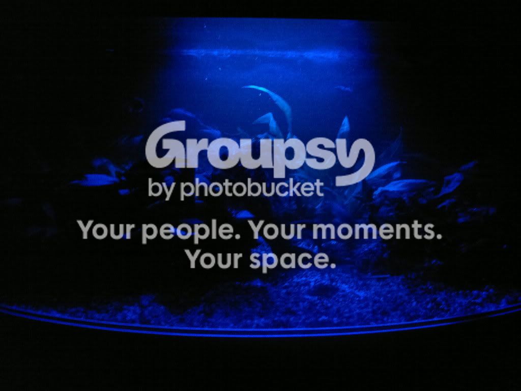 20111124471.jpg