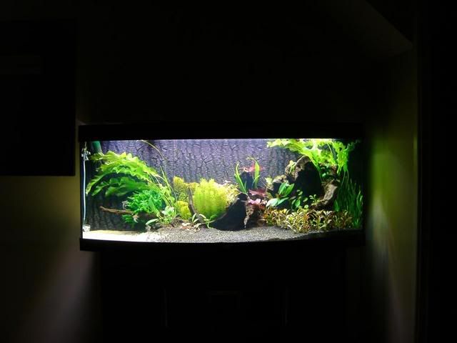 IMAG0041_edited.jpg