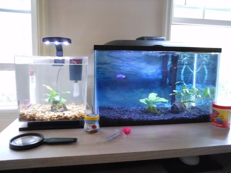 DSCN2104.jpg