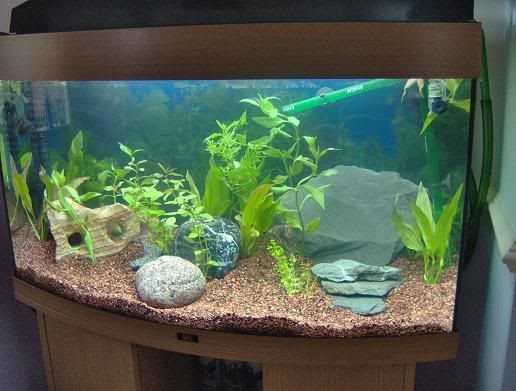 1stdaytank.jpg