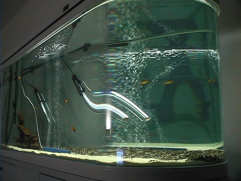 DVC01859.jpg