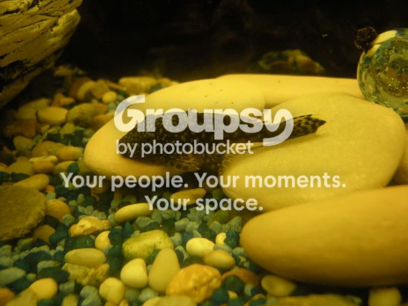 DSCN3640.jpg