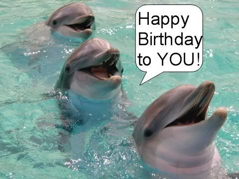 Birthdaydolphin.jpg