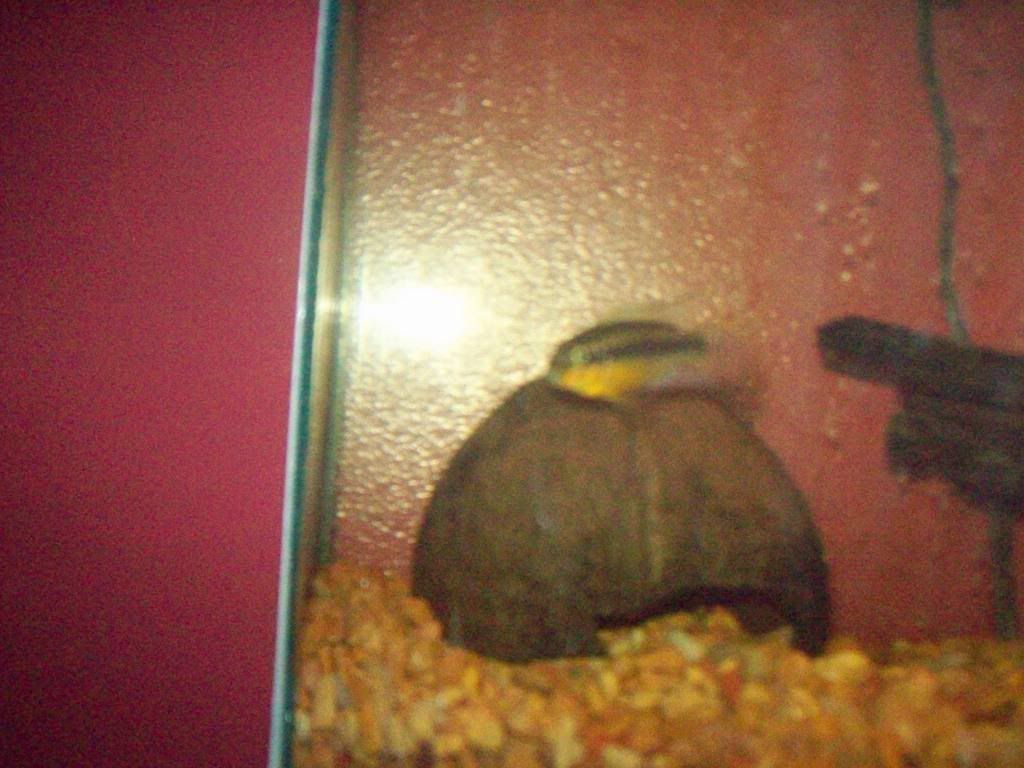 001-23.jpg