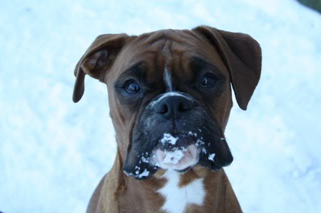 KaiRiley10-02-2009036.jpg