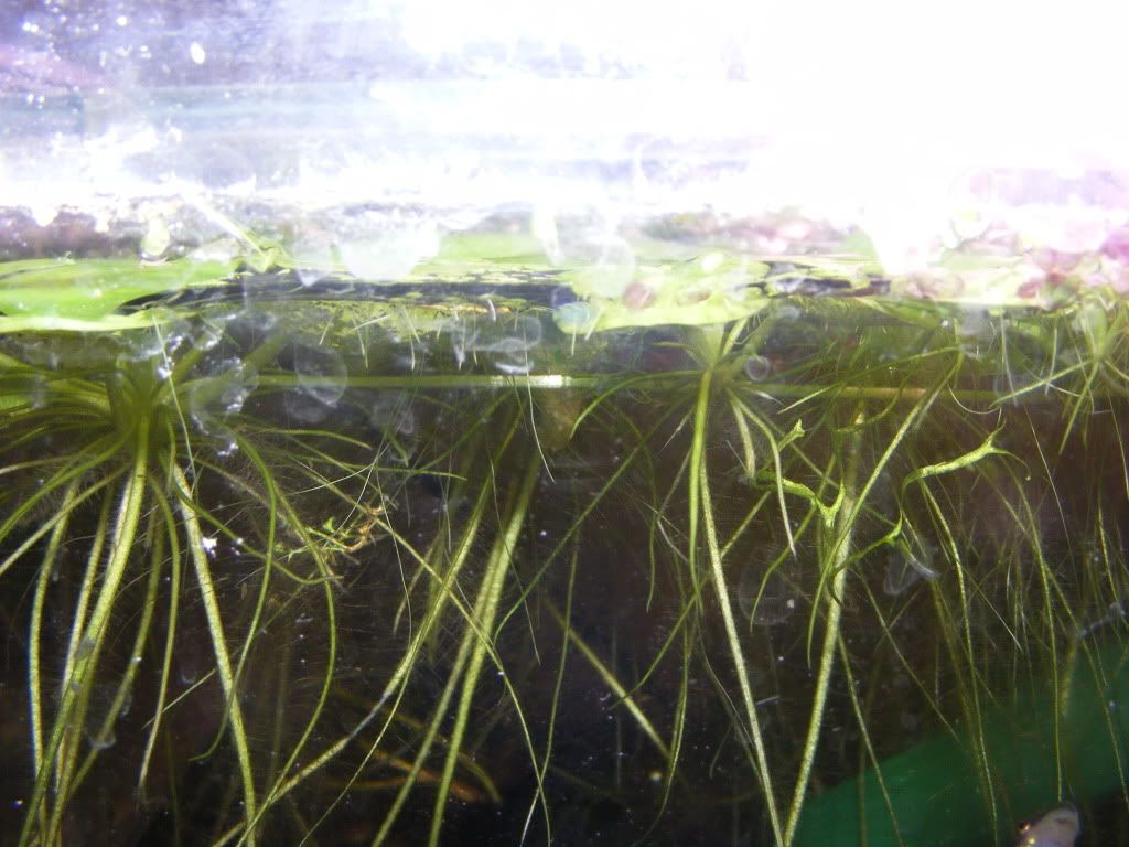 DSCF1062.jpg