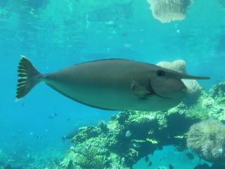 SDC12231-1.jpg