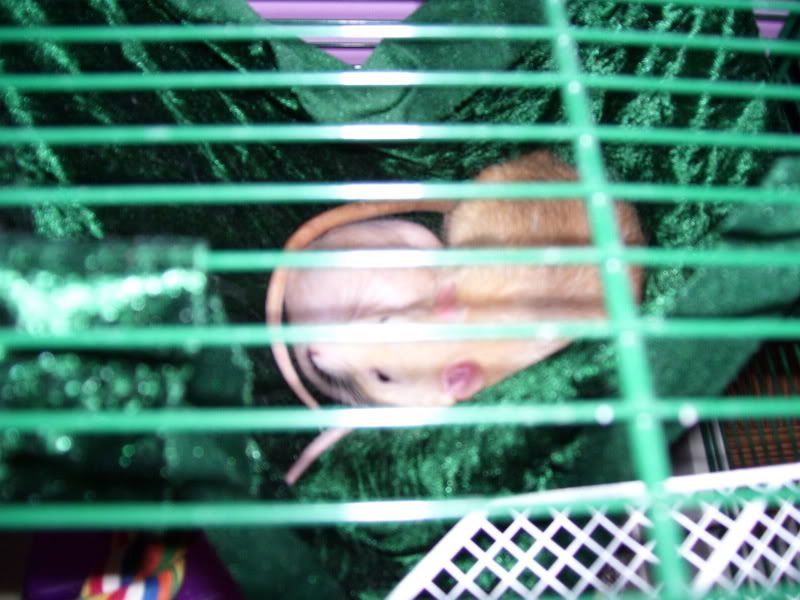 000_0098.jpg
