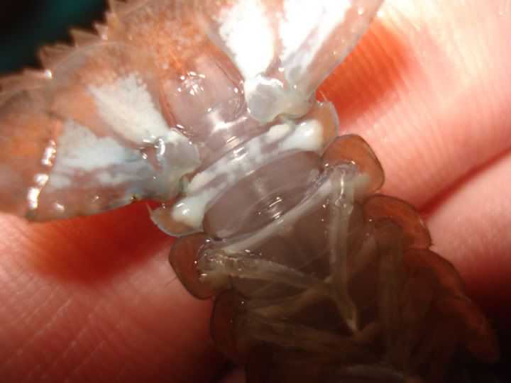 DSC02210.jpg