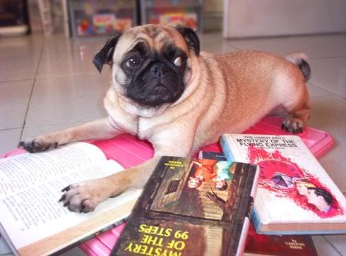 Pugbook02.jpg