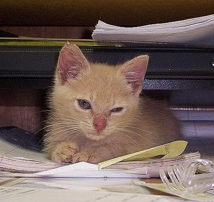 100_2292.jpg