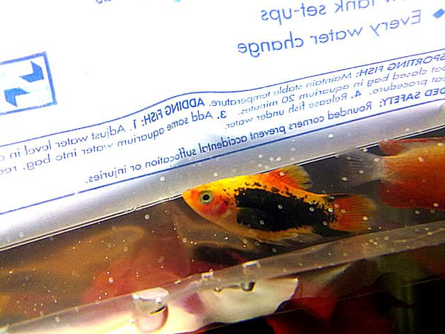 14092011464.jpg