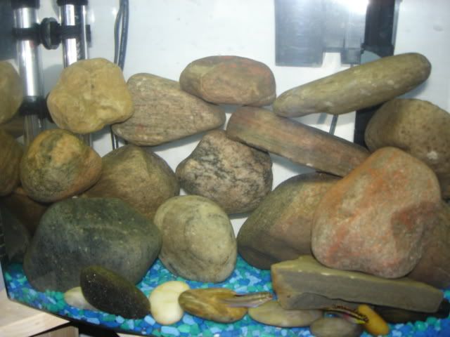 DSC02546.jpg