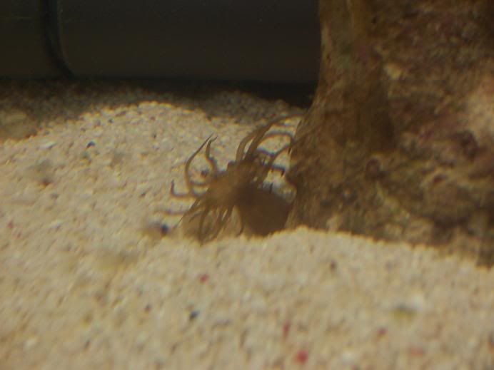 100_4018.jpg