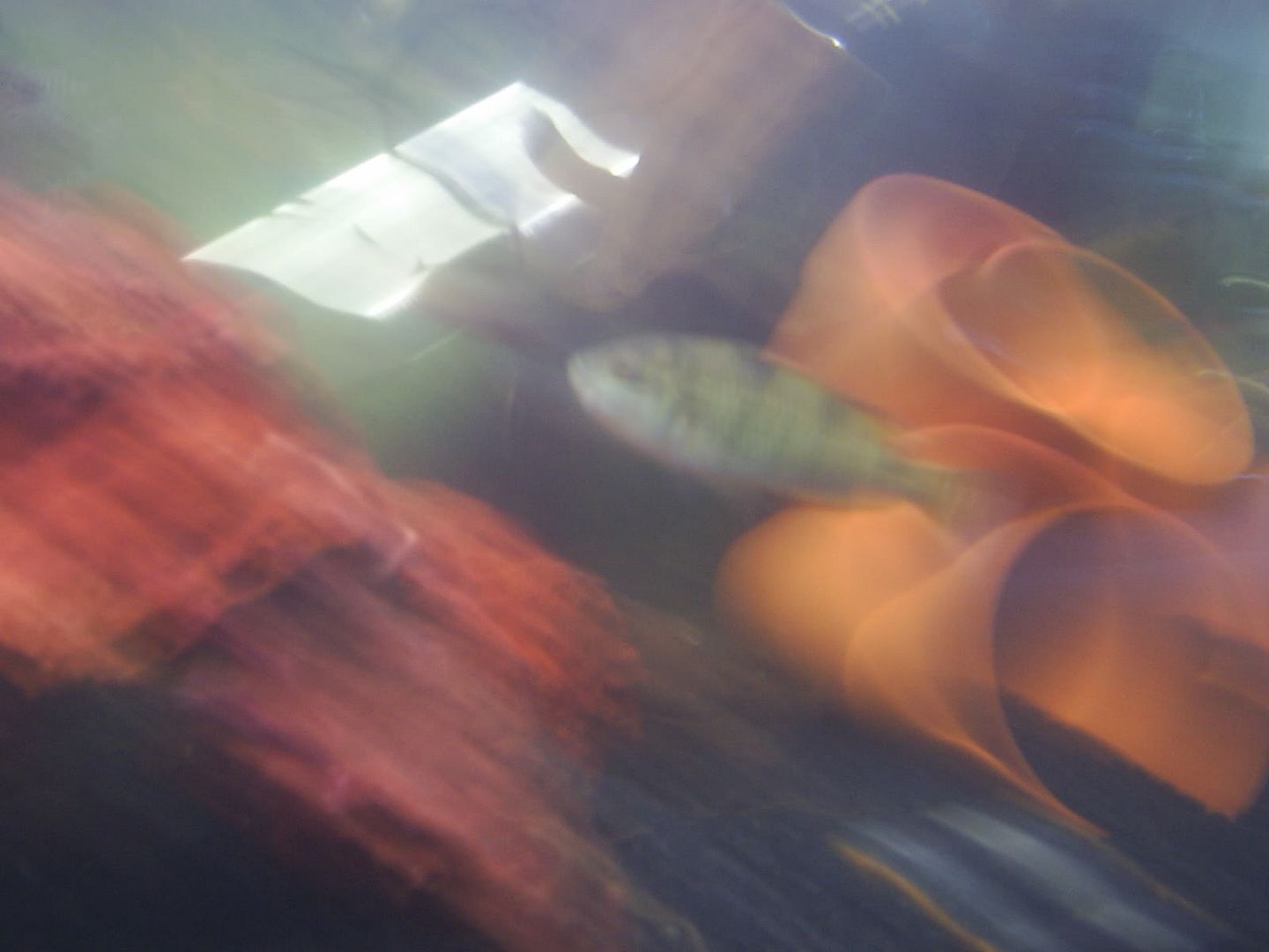 S4010440.jpg