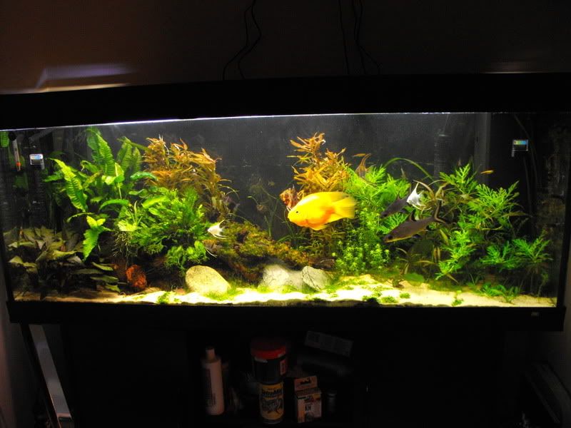 DSCF0211.jpg