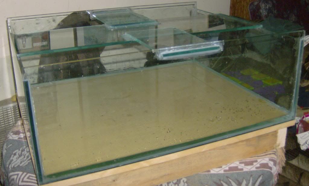 tankbuild010.jpg