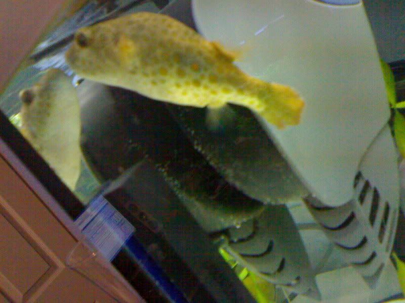 27022007058.jpg