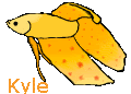 Kylepixel-1.gif
