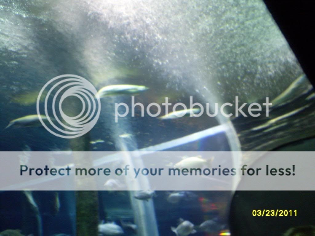 SDC12662.jpg