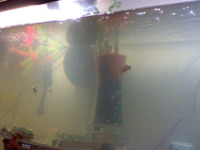 HNI_0007.jpg
