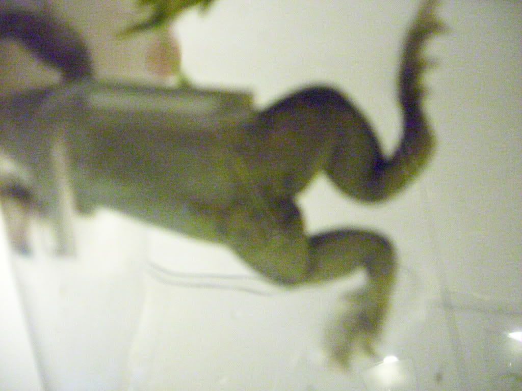 011-18.jpg