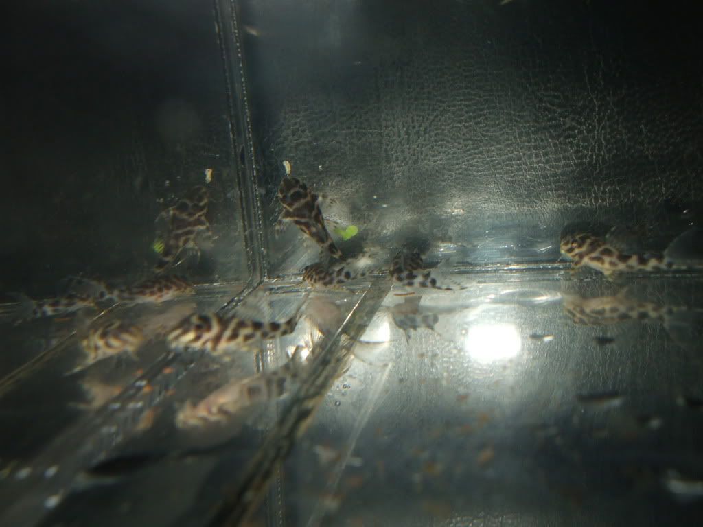 DSCF3131.jpg