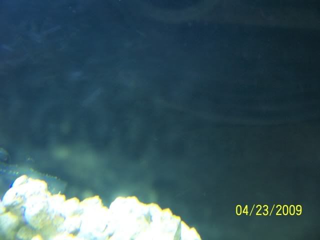 100_5445.jpg