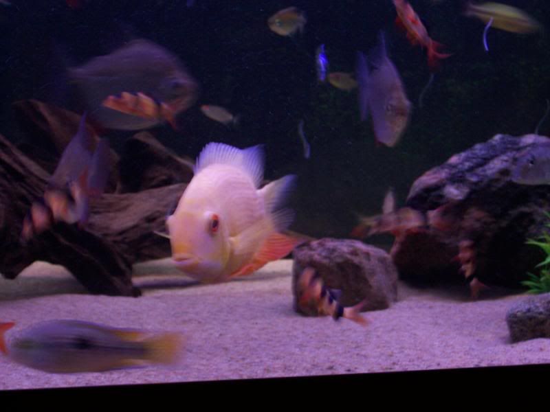 100_6076.jpg